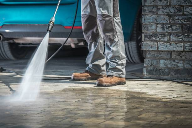 Professional Pressure Washing in Oriole Beach, FL