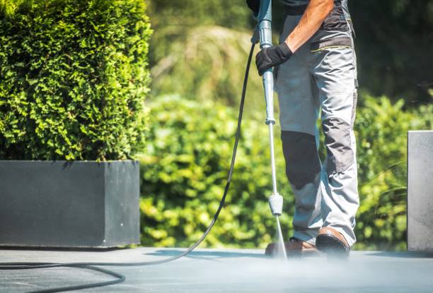 Best House Exterior Washing  in Oriole Beach, FL